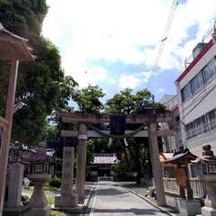 写真