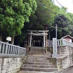 写真