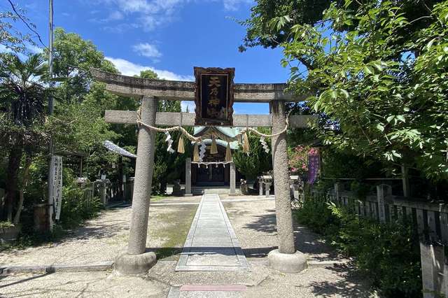 写真