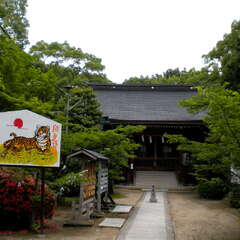 意賀美神社(投稿日:2025年7月12日) 写真
