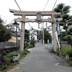 写真
