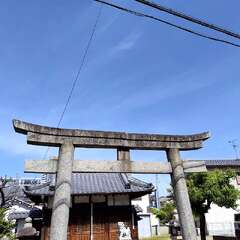 写真