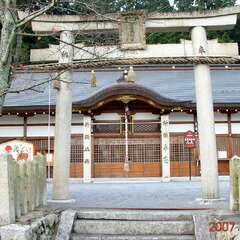 意賀美神社(投稿日:2025年10月26日) 写真