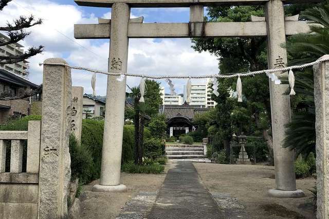 写真