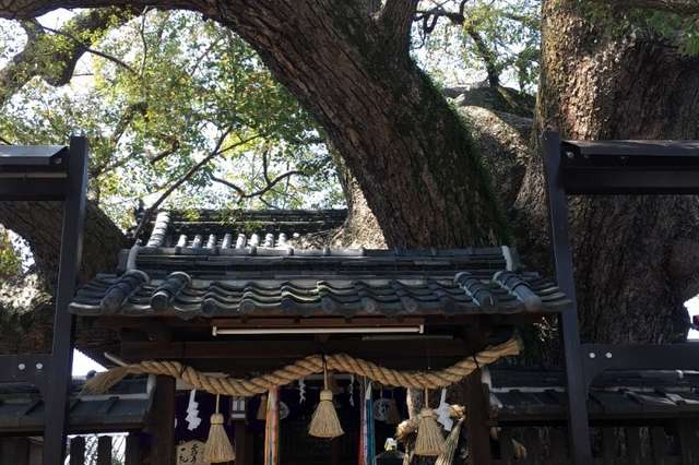 ⛩三島神社|大阪府門真市 八百万の神