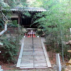 信達神社(投稿日:2025年7月7日) 写真