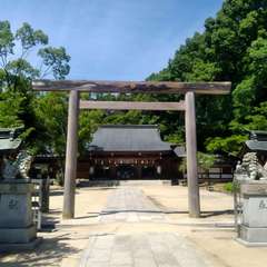 投稿日:2020年6月17日 写真