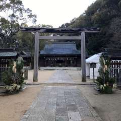 投稿日:2017年1月10日 写真