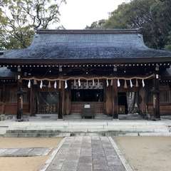 投稿日:2017年1月10日 写真