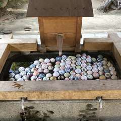 投稿日:2021年12月2日 写真