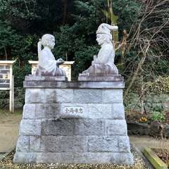 投稿日:2017年1月10日 写真