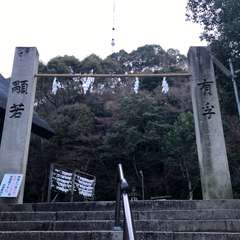 投稿日:2017年1月10日 写真