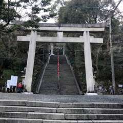 投稿日:2017年1月10日 写真