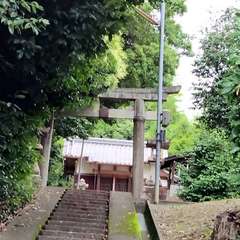 写真