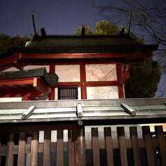春日神社 本殿(投稿日:2025年12月18日) 写真