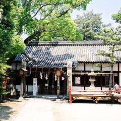 茅渟神社(投稿日:2025年9月7日) 写真