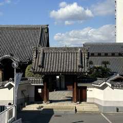 正蓮寺 山門(投稿日:2024年11月21日) 写真