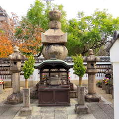 投稿日:2021年12月11日 写真