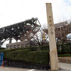 投稿日:2021年12月11日 写真