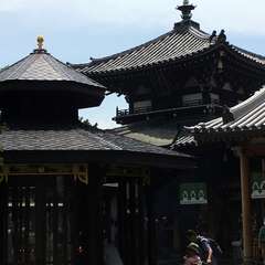 投稿日:2016年7月1日 写真