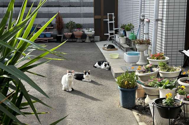 写真