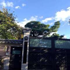 仏日山 東光院(投稿日:2025年11月11日) 写真