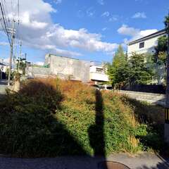 宝聖院(投稿日:2025年11月11日) 写真