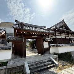 真光寺 山門(投稿日:2025年3月24日) 写真