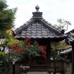 御堂...(投稿日:2021年11月6日) 写真