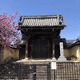 專應寺