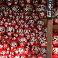 投稿日:2016年6月10日 写真