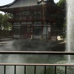 投稿日:2016年6月10日 写真