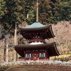 投稿日:2017年3月28日 写真