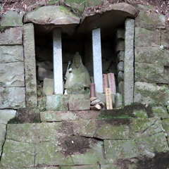 行者さん.(投稿日:2020年7月26日) 写真