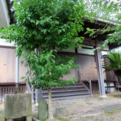 御本堂..(投稿日:2020年7月21日) 写真