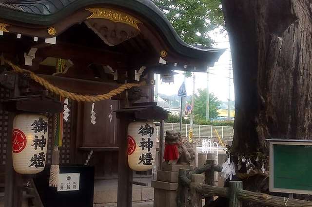 写真