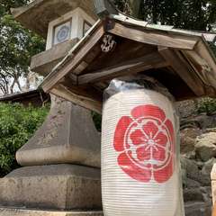 投稿日:2020年3月18日 写真