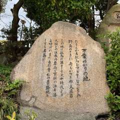 投稿日:2020年3月18日 写真