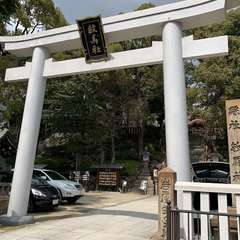 投稿日:2020年3月18日 写真