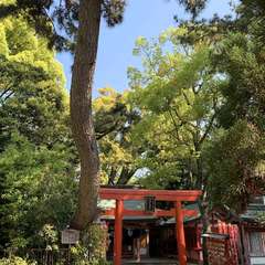 投稿日:2020年4月29日 写真