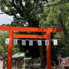 投稿日:2020年7月20日 写真