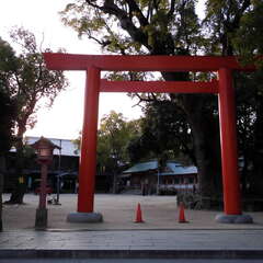 投稿日:2025年7月27日 写真