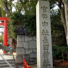 投稿日:2025年6月15日 写真