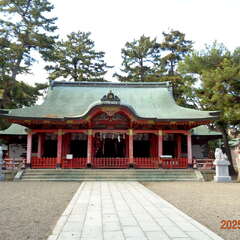 投稿日:2025年6月15日 写真