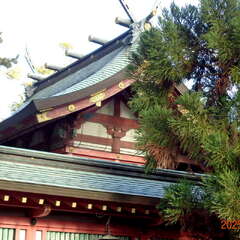 投稿日:2025年6月15日 写真