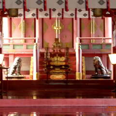 投稿日:2025年6月15日 写真