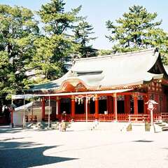 投稿日:2025年10月15日 写真