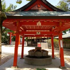 投稿日:2018年7月25日 写真