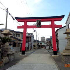 投稿日:2025年6月15日 写真