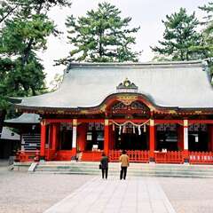 投稿日:2025年9月6日 写真